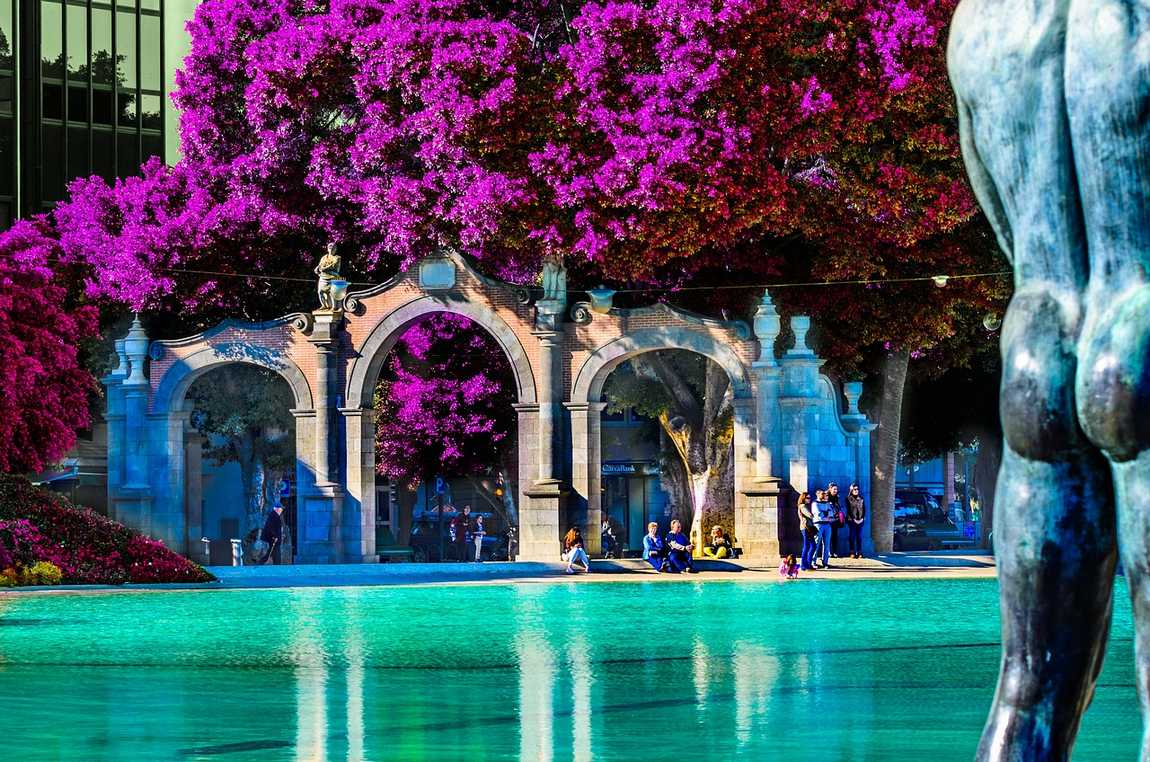 is tenerife worth a visit? discover the island's charms! photo 2