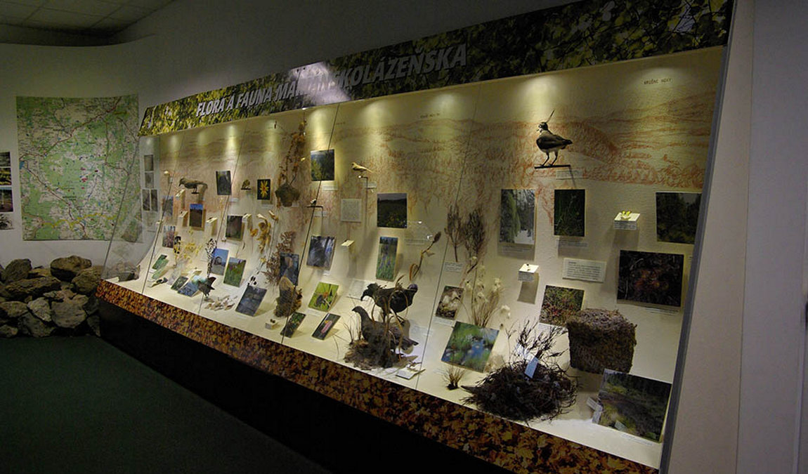 town museum photo 4