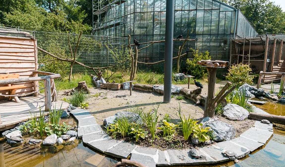ulm zoo photo 1