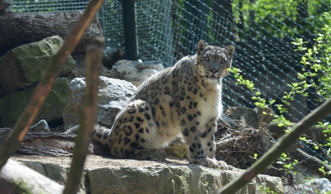 wuppertal zoo photo 5