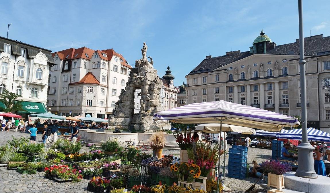 zelny trh photo 4