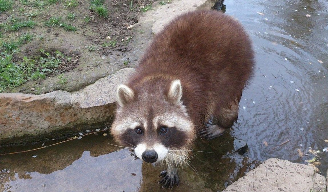 zoo braunschweig photo 8