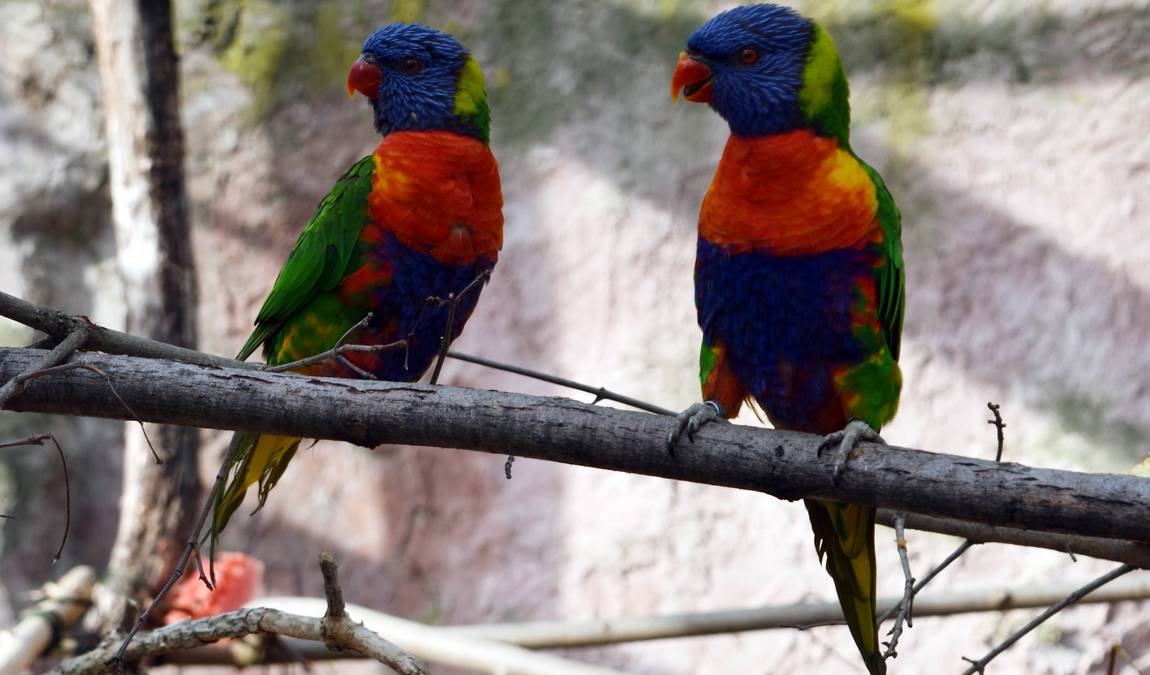 zoo erfurt photo 4