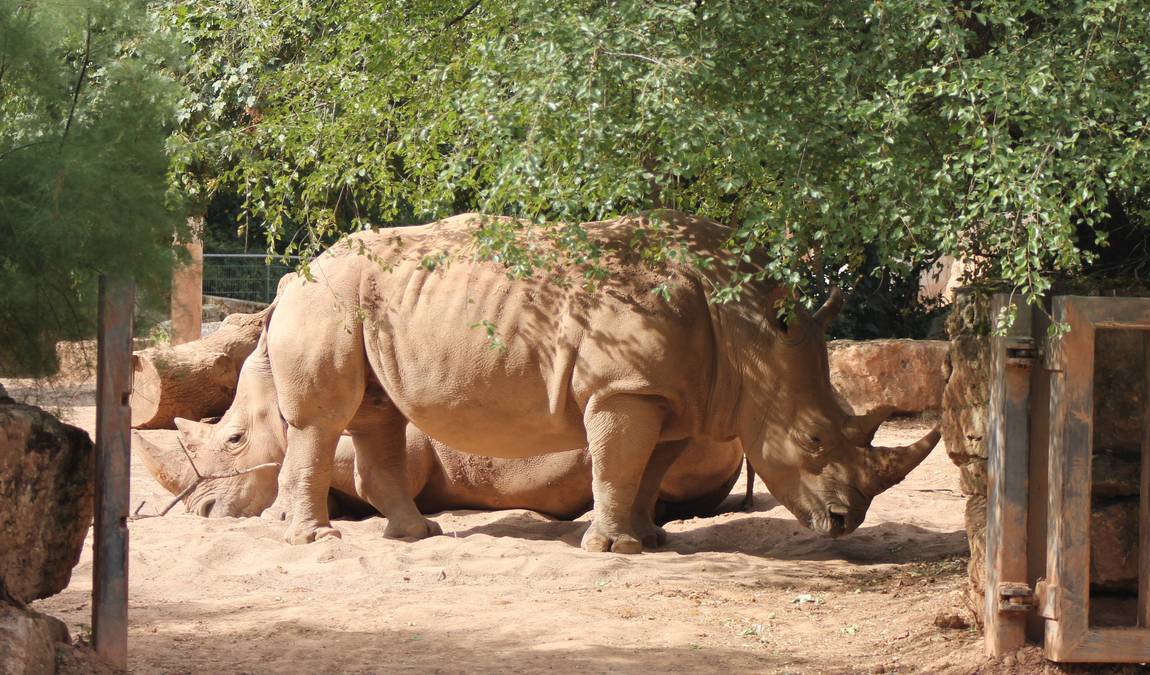 zoo erfurt photo 3