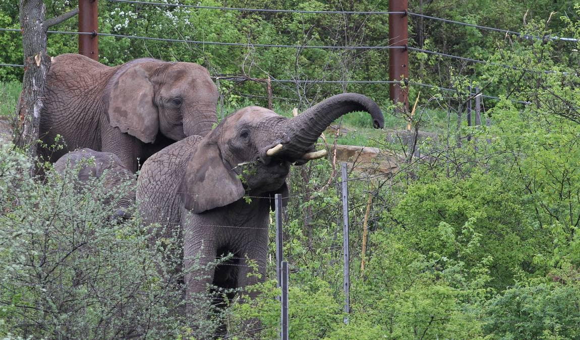 zoo erfurt photo 5