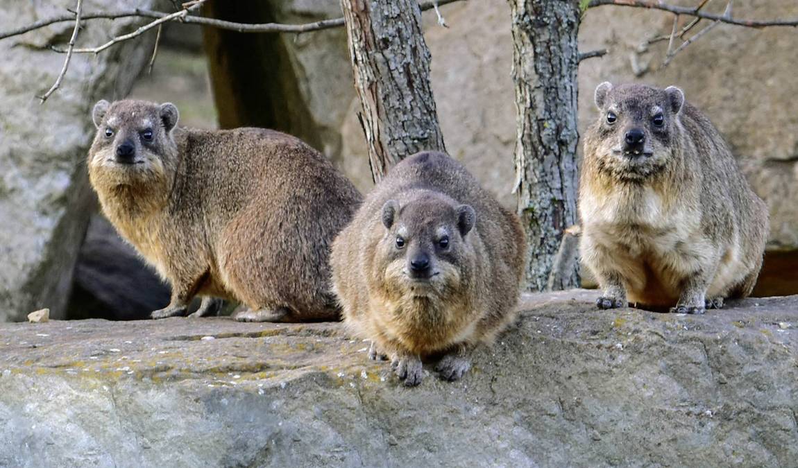 zoo erfurt photo 7