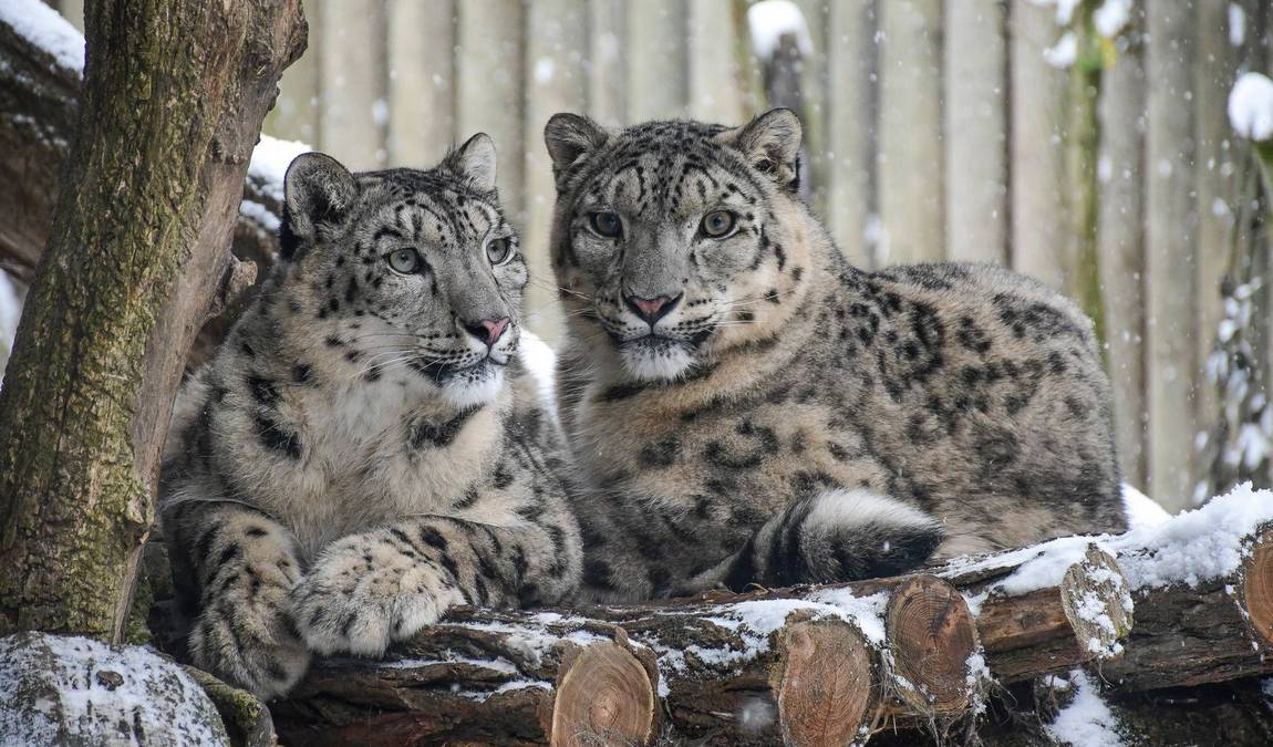 zoo jihlava photo 3