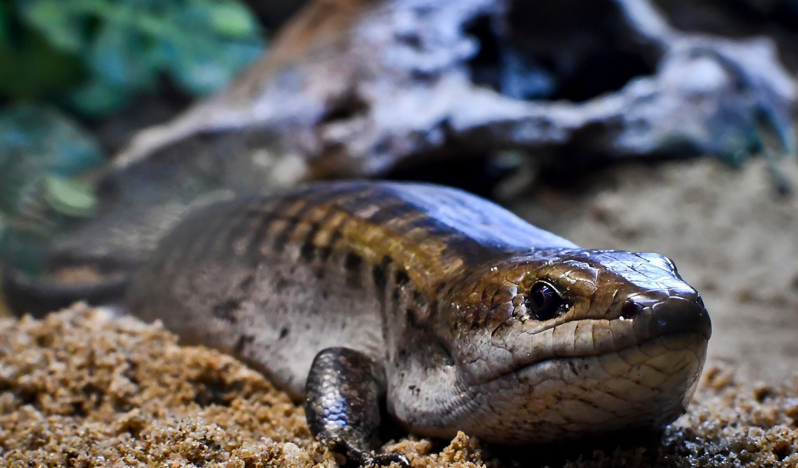 zoo jihlava photo 6