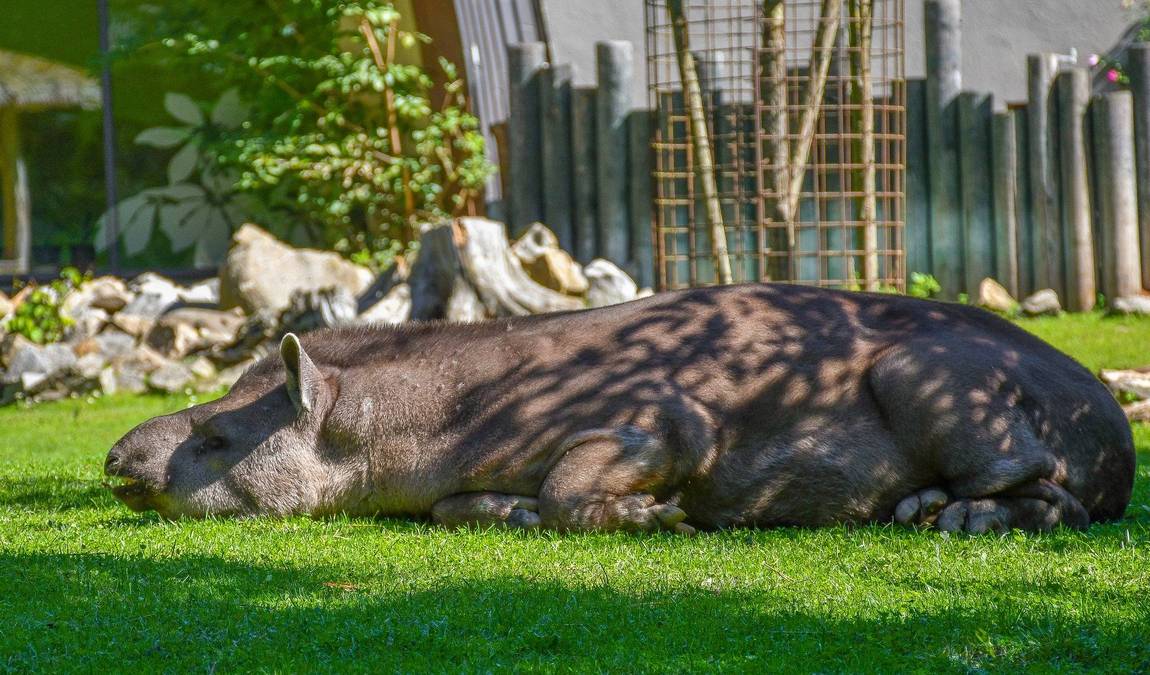 zoo jihlava photo 9