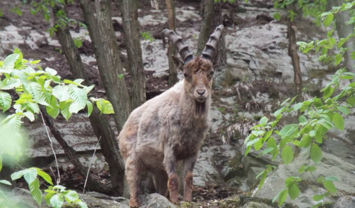 zoo olomouc photo 2