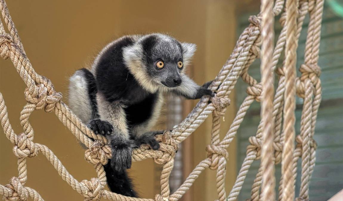 zoo olomouc photo 1