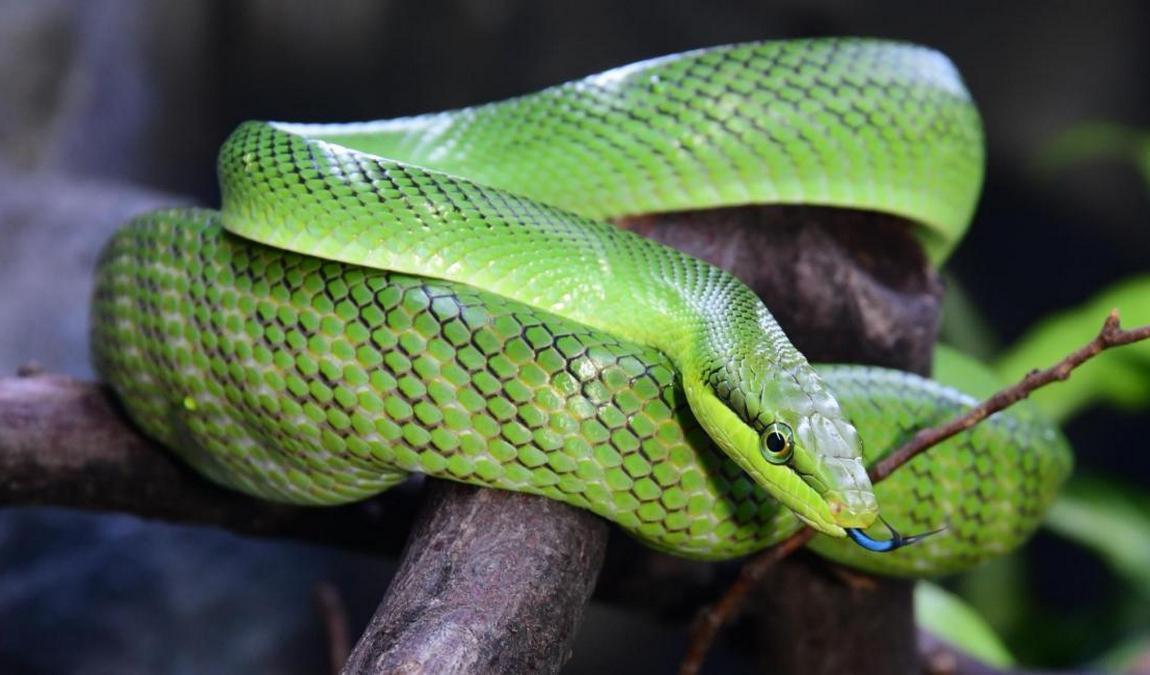 zoo olomouc photo 6