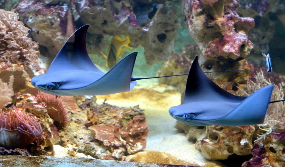 zoo olomouc photo 8
