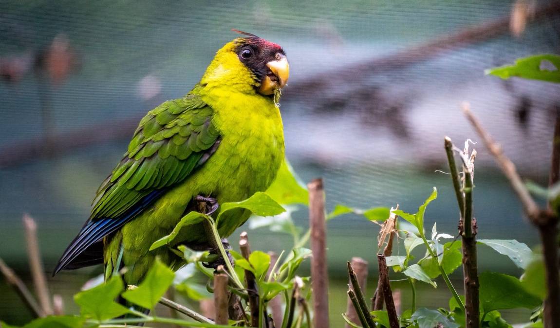 zoo plzen photo 2