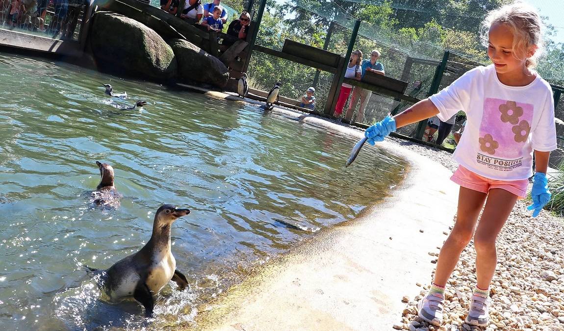 zoo plzen photo 8