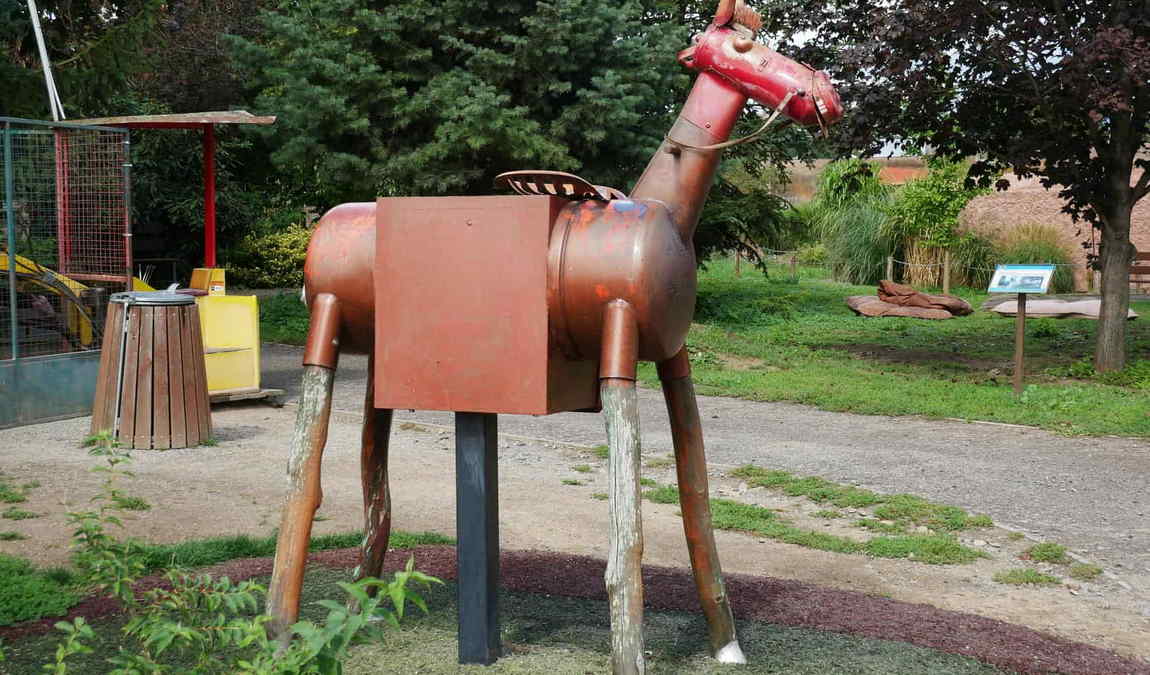 zoo vyskov photo 9