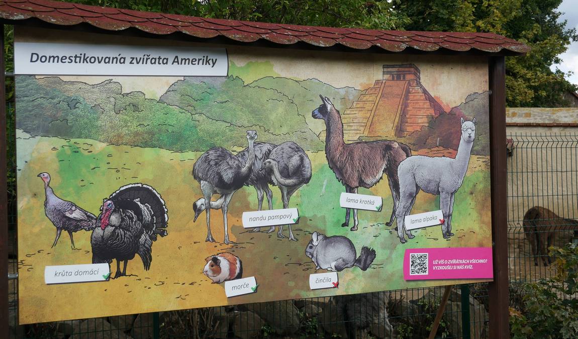 zoo vyskov photo 3