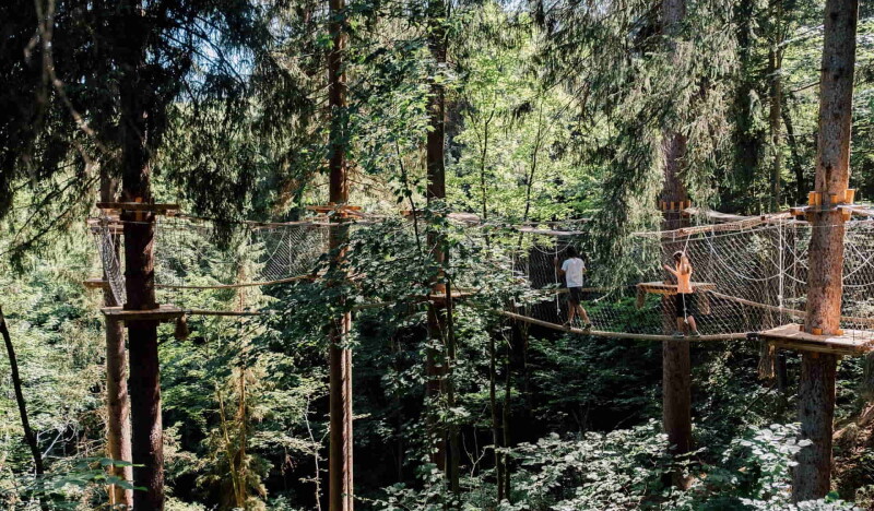 JODYs Baumparcours