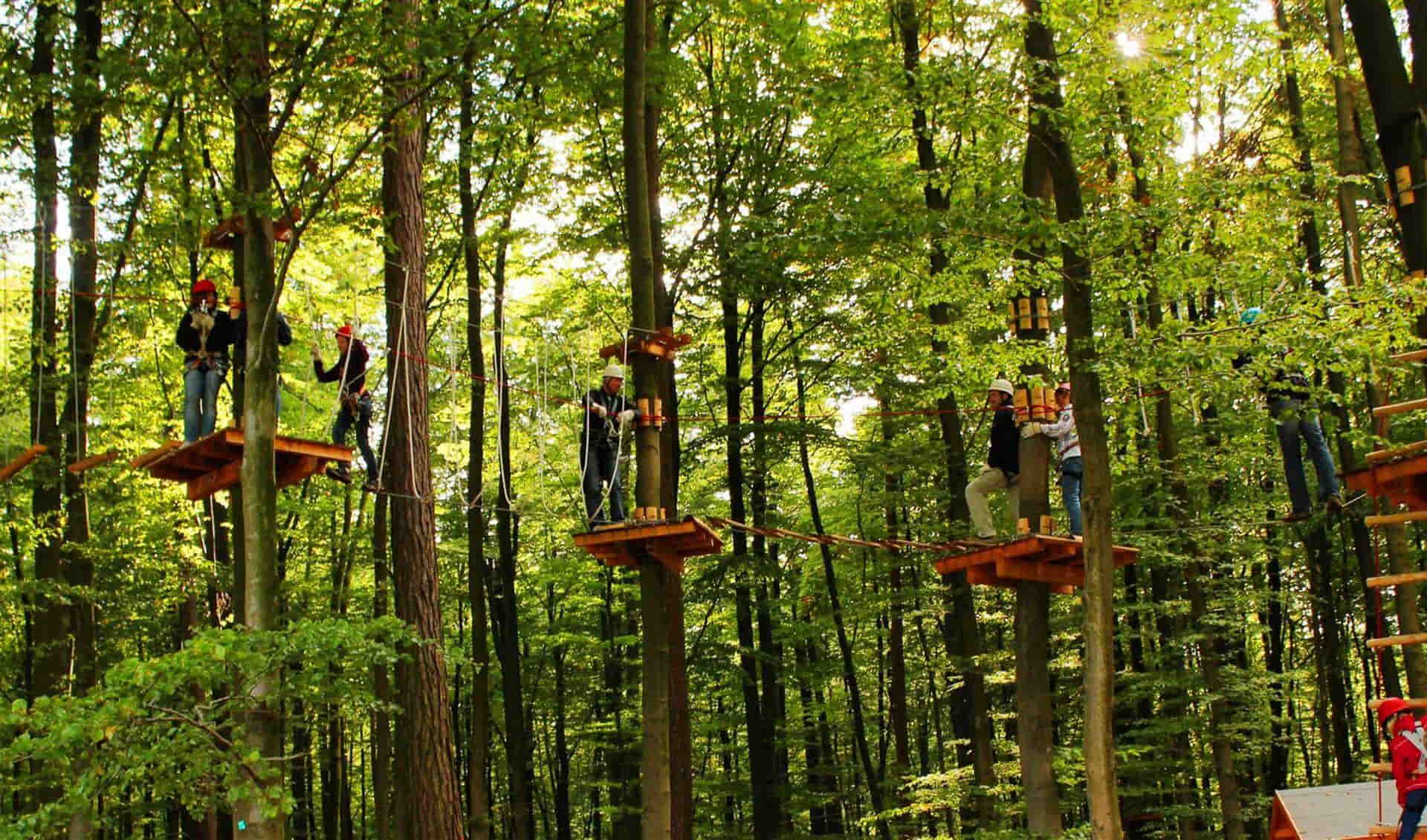 Kletterwald Kassel