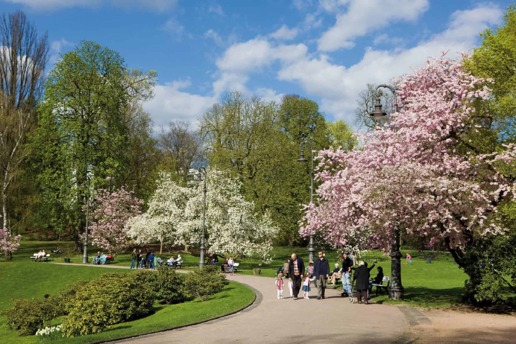 Kurpark Wiesbaden photo 1