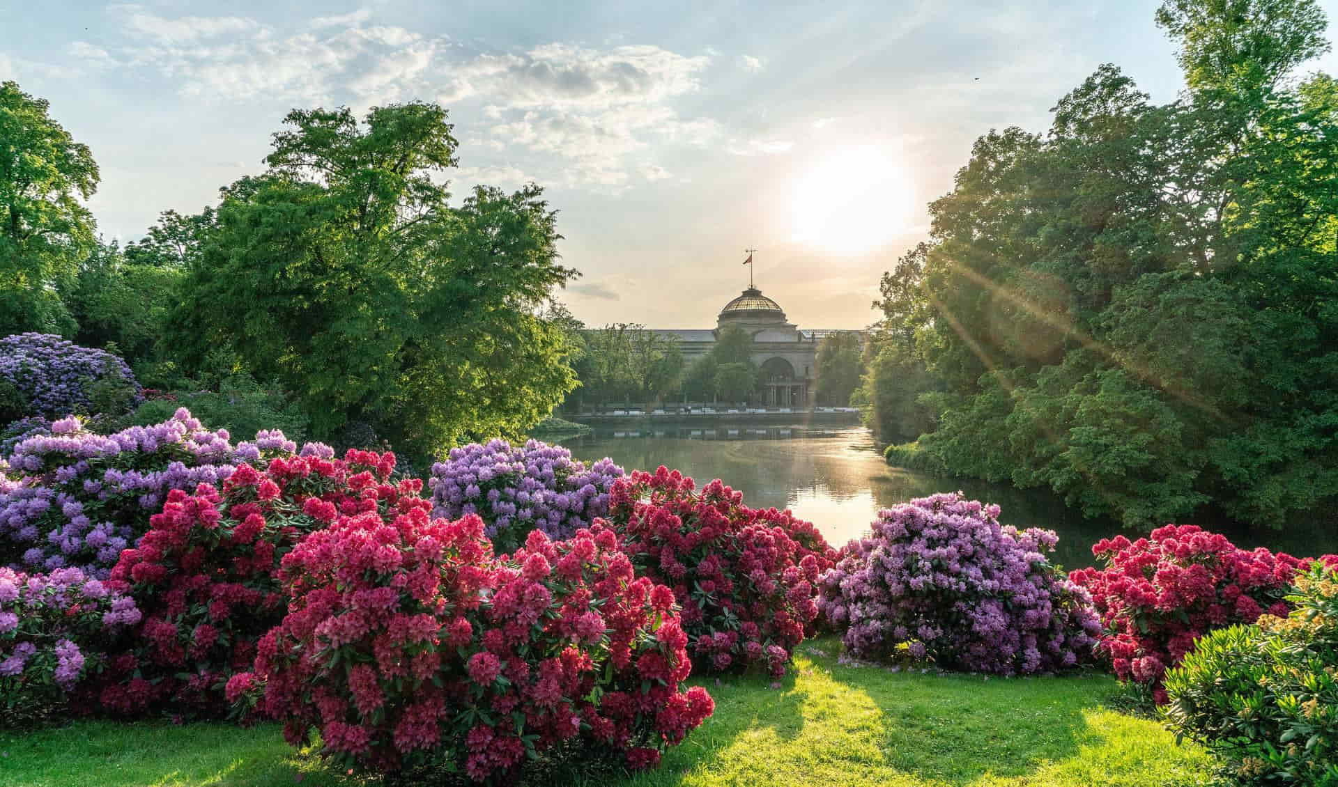 Kurpark Wiesbaden