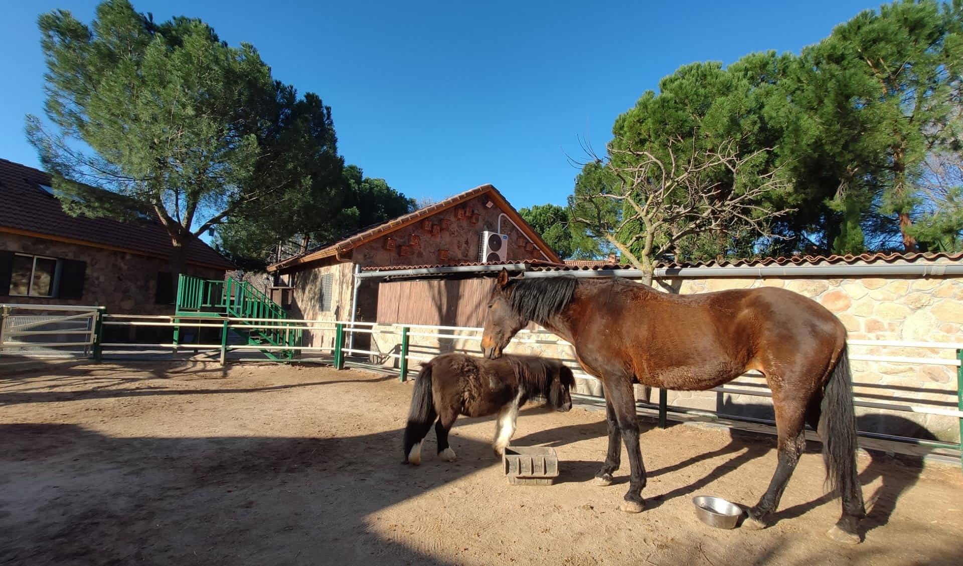 La Granja de los Cuentos