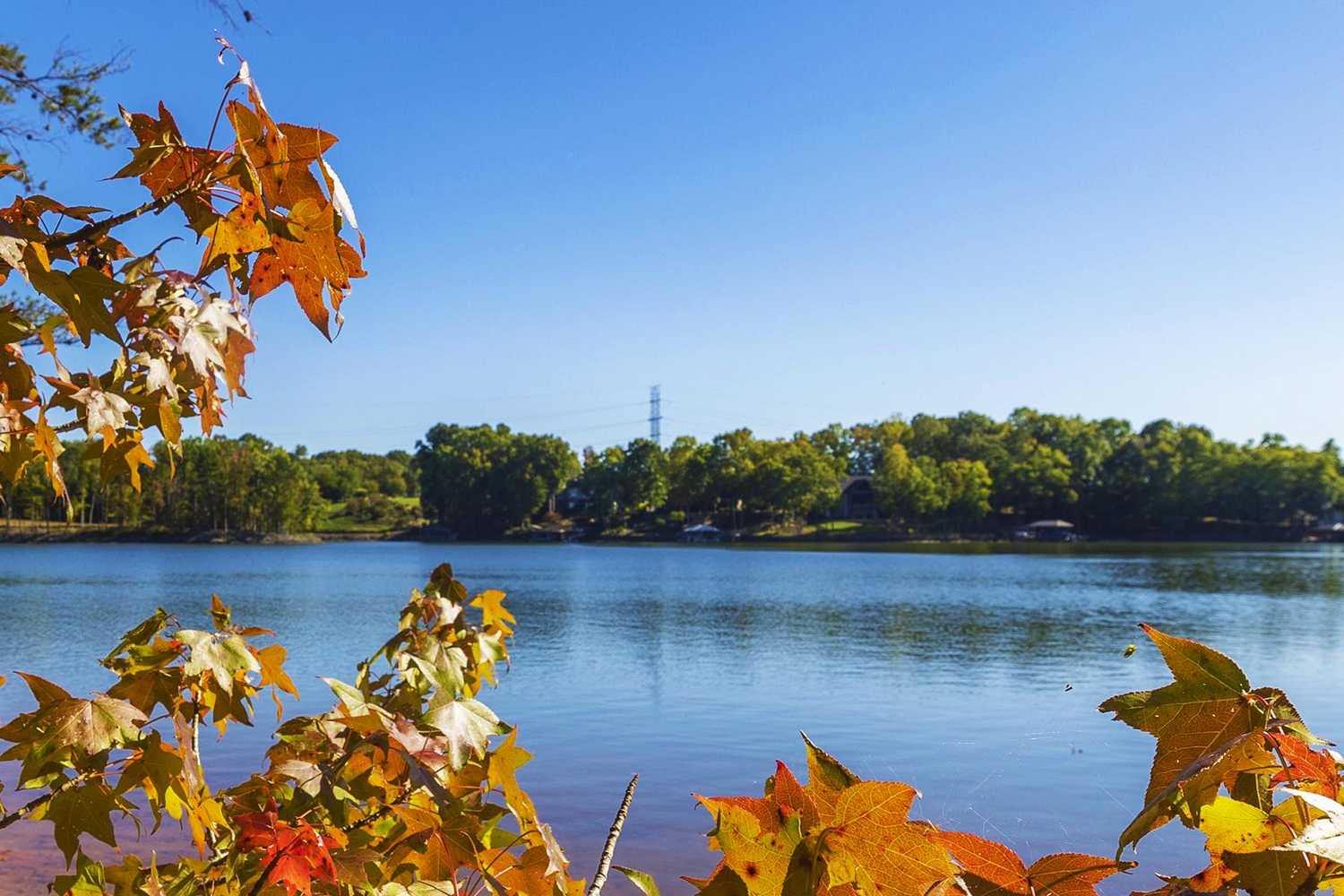 Lake Norman State Park photo 1