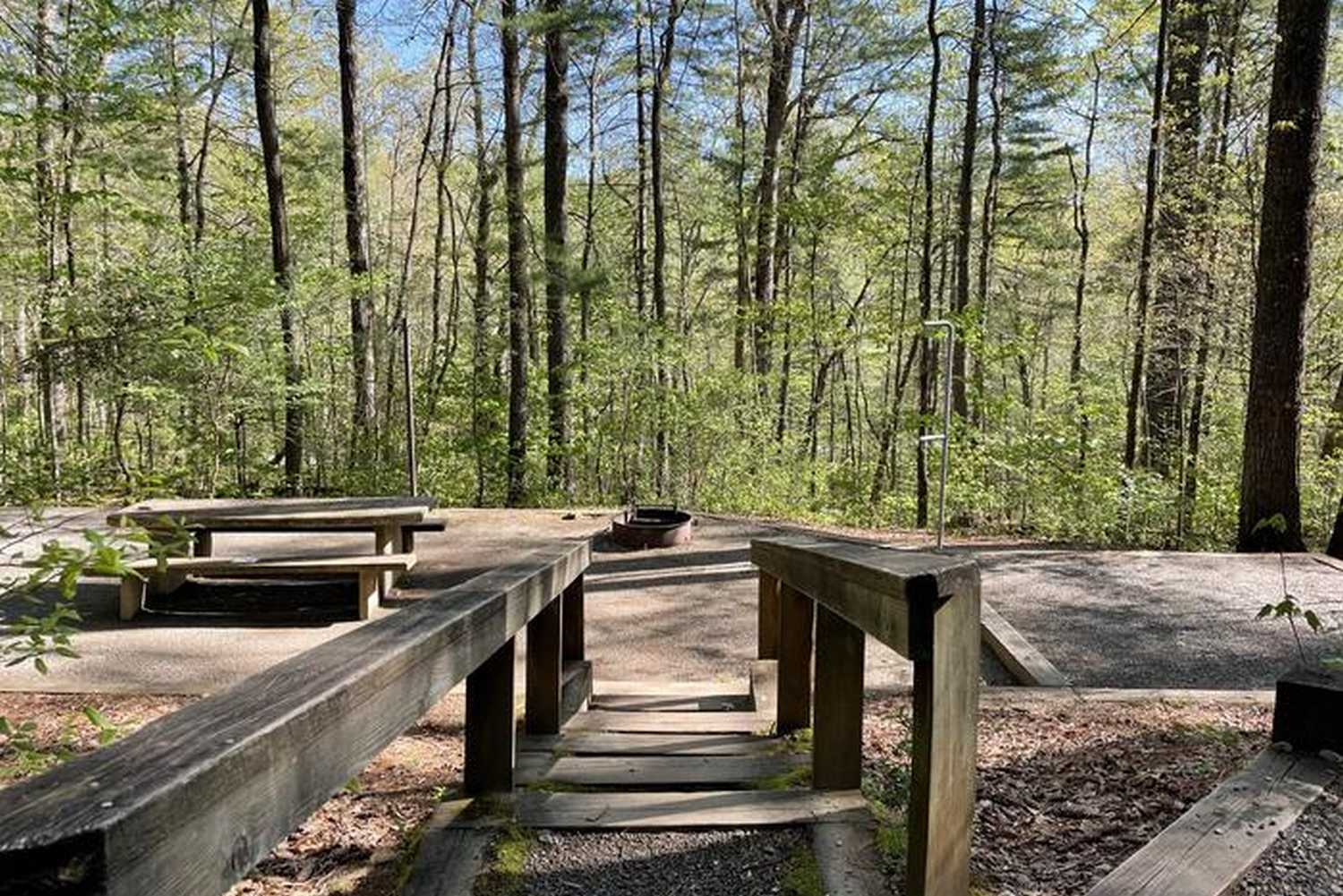 Lake Powhatan Recreation Area & Campground фото 1