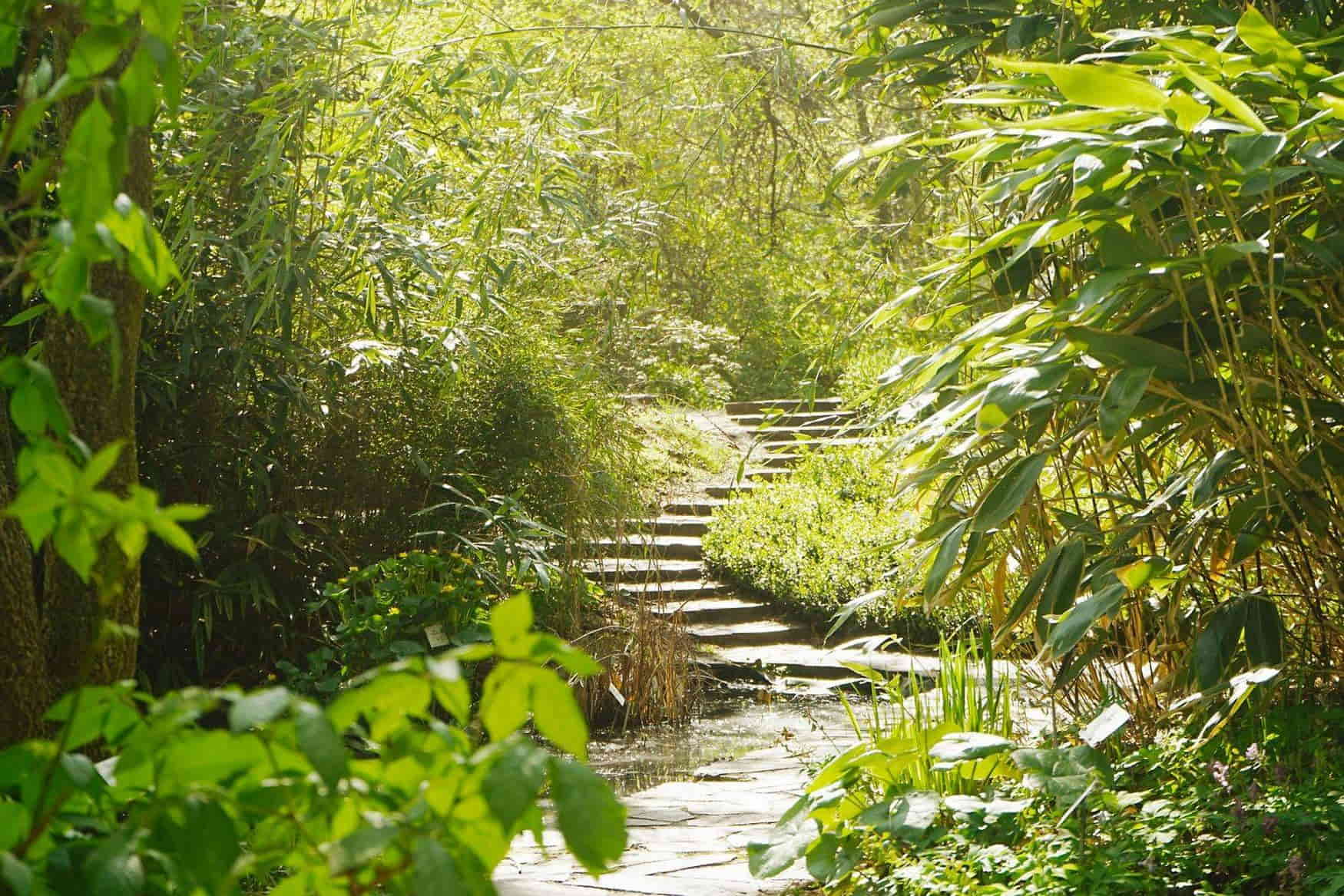 Leipzig Botanical Garden | Kidpassage Family Review