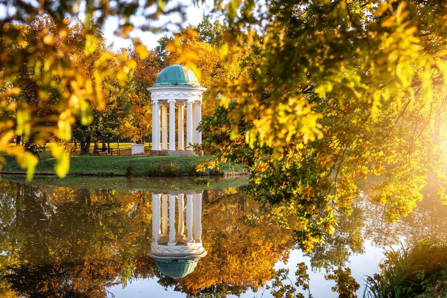 Leipzig Riverside Forest photo 1