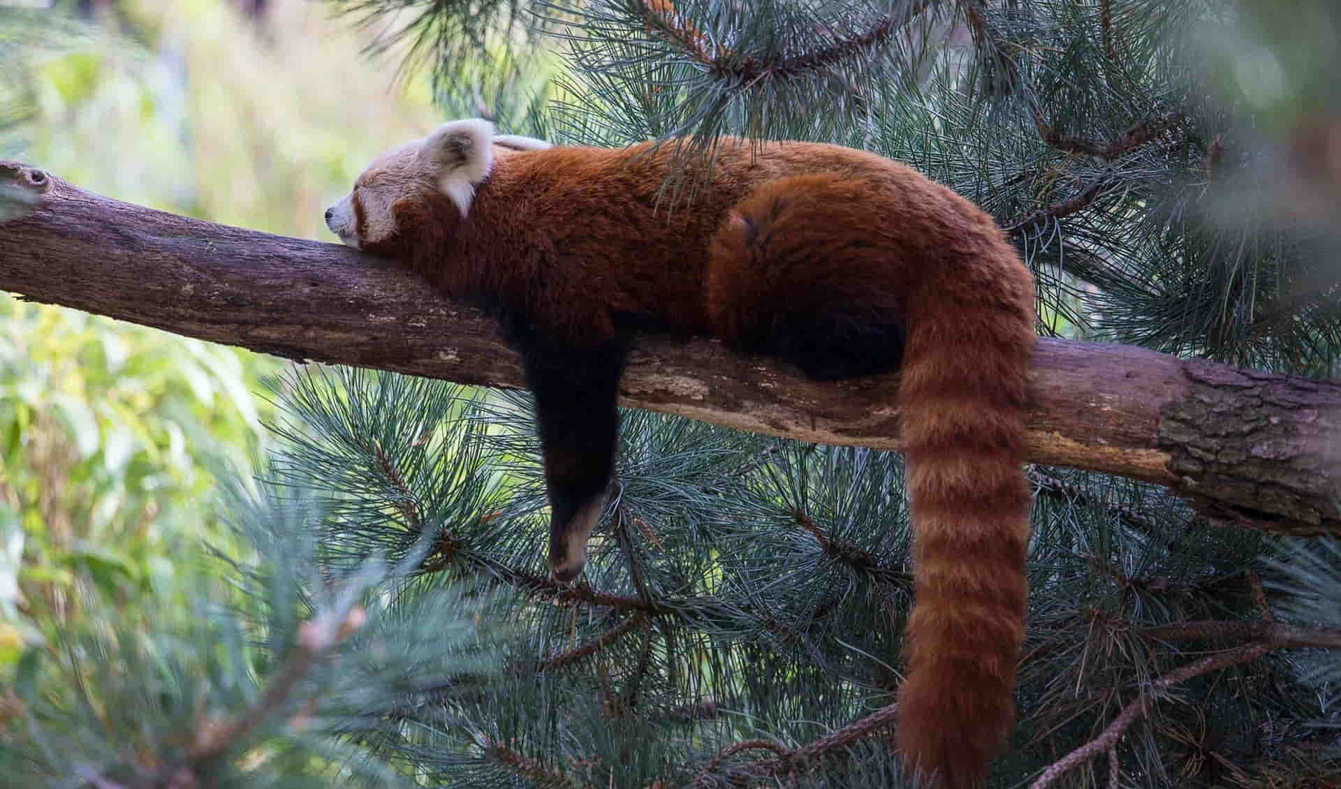 Leipzig Zoo