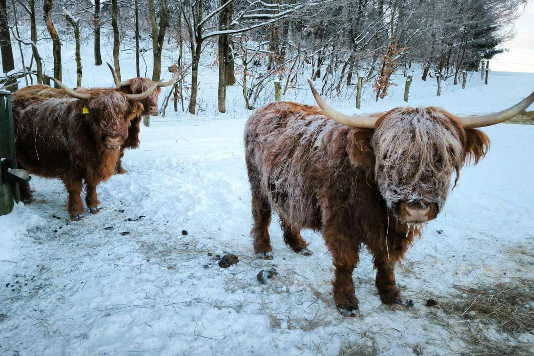 Little Farmers