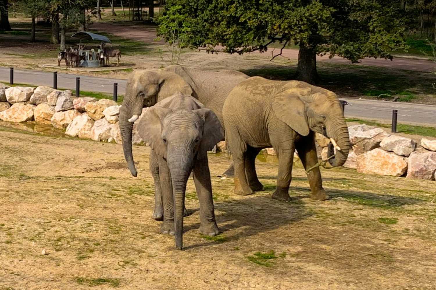 Zoo Halle фото 1