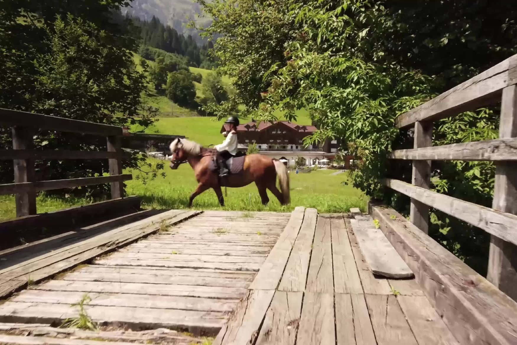 Moar Gut Farm photo 1