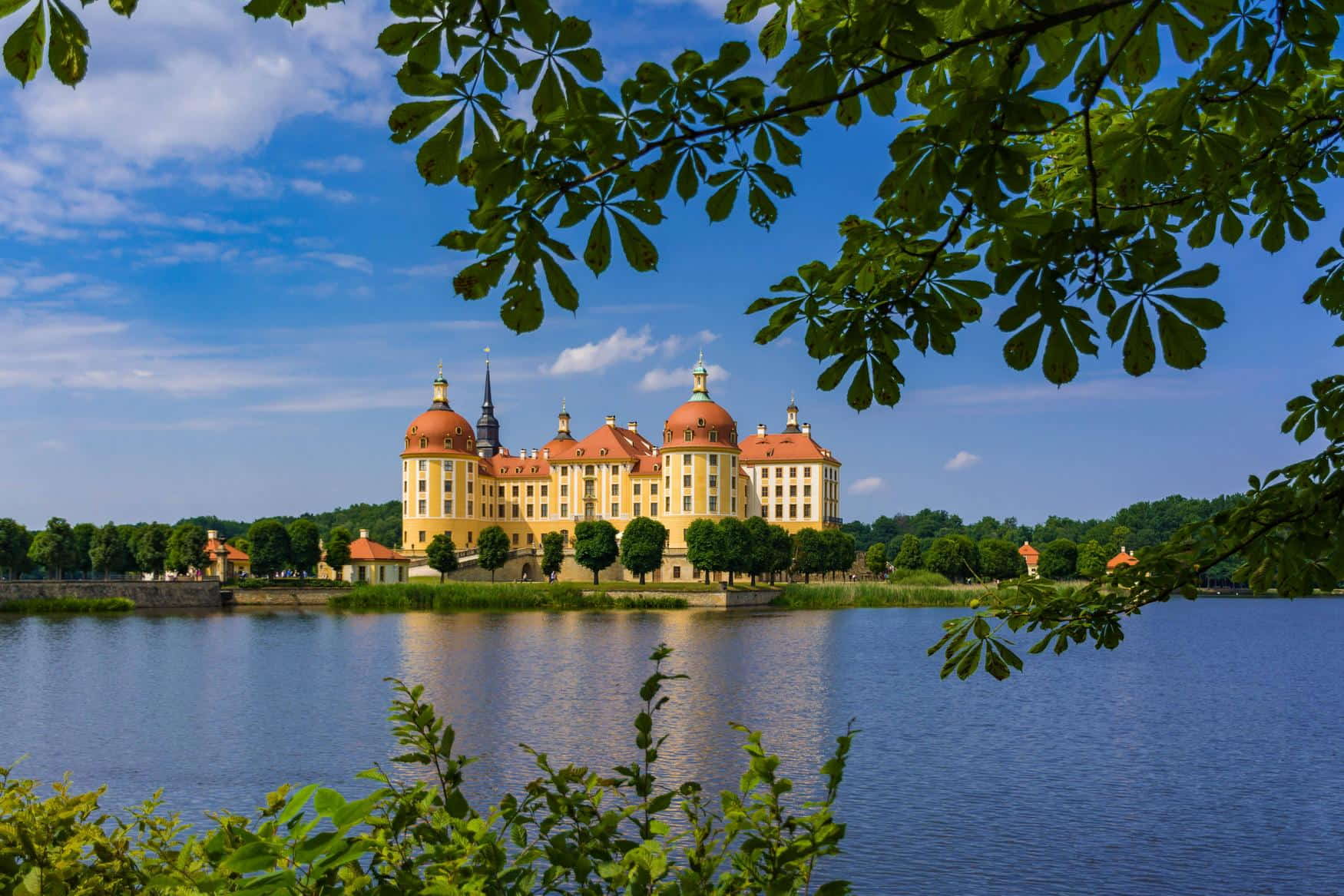 Moritzburg Castle photo 1