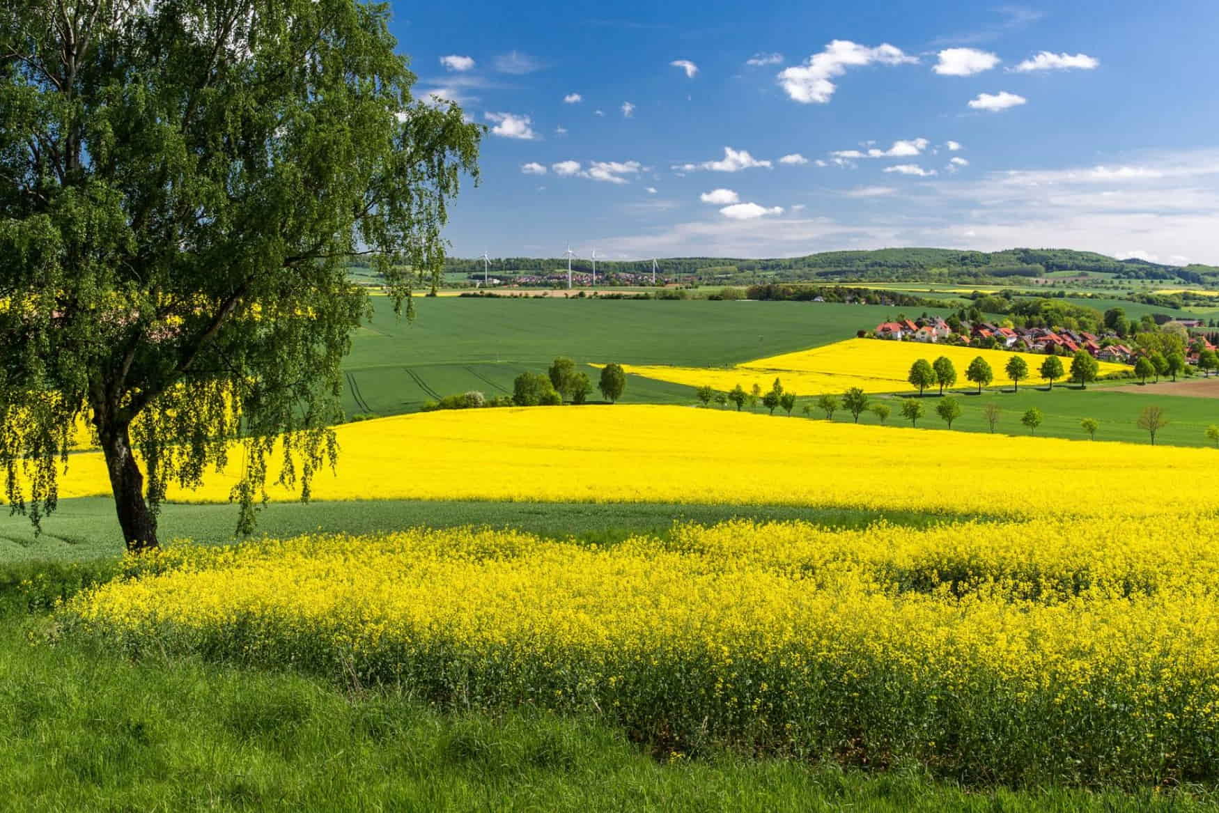 Munden Nature Park photo 1