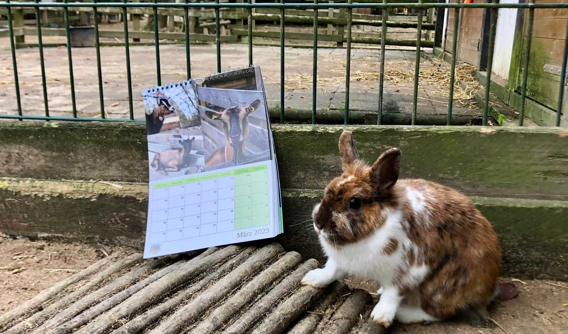 Noah's Ark Meerbusch