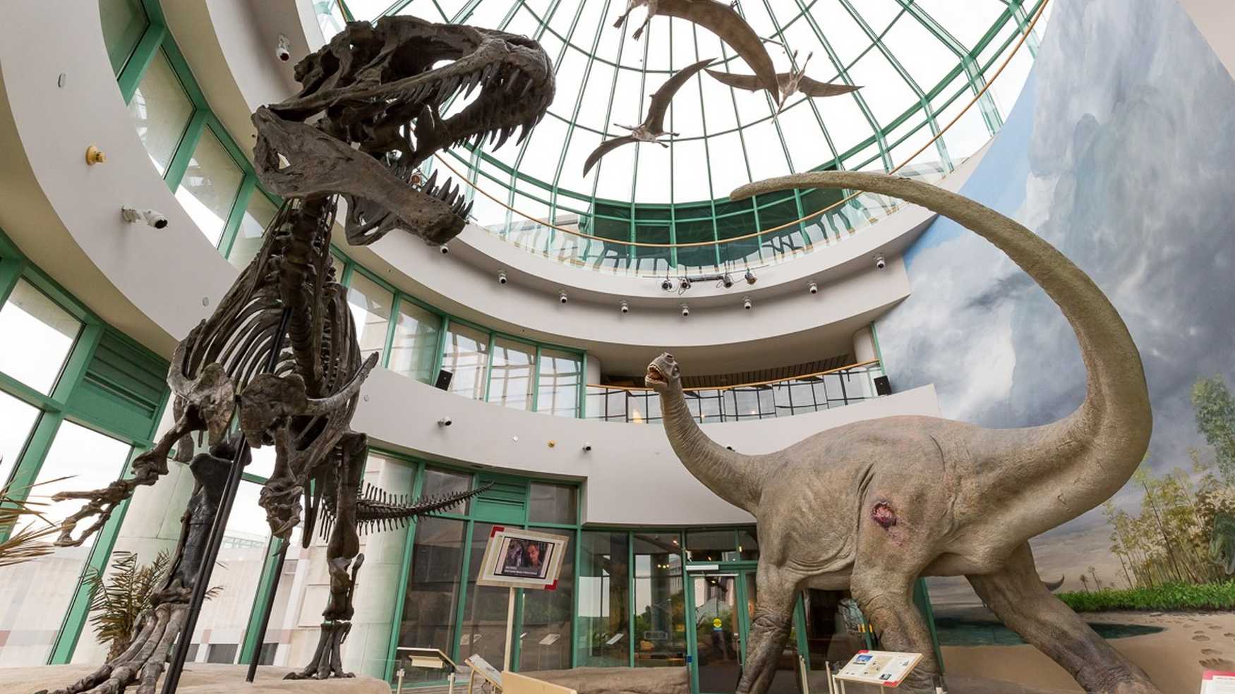 North Carolina Museum of Natural Sciences