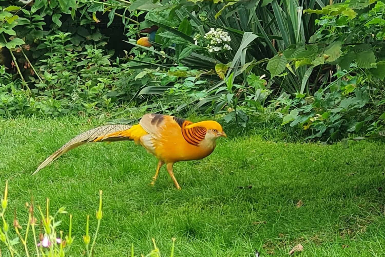 Park of Birds and Monkeys Eckenhagen photo 1