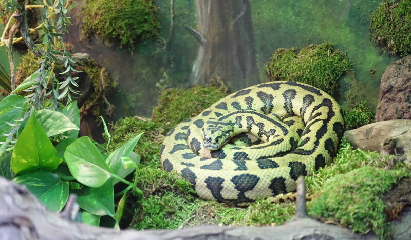 Reptilienzoo Happ