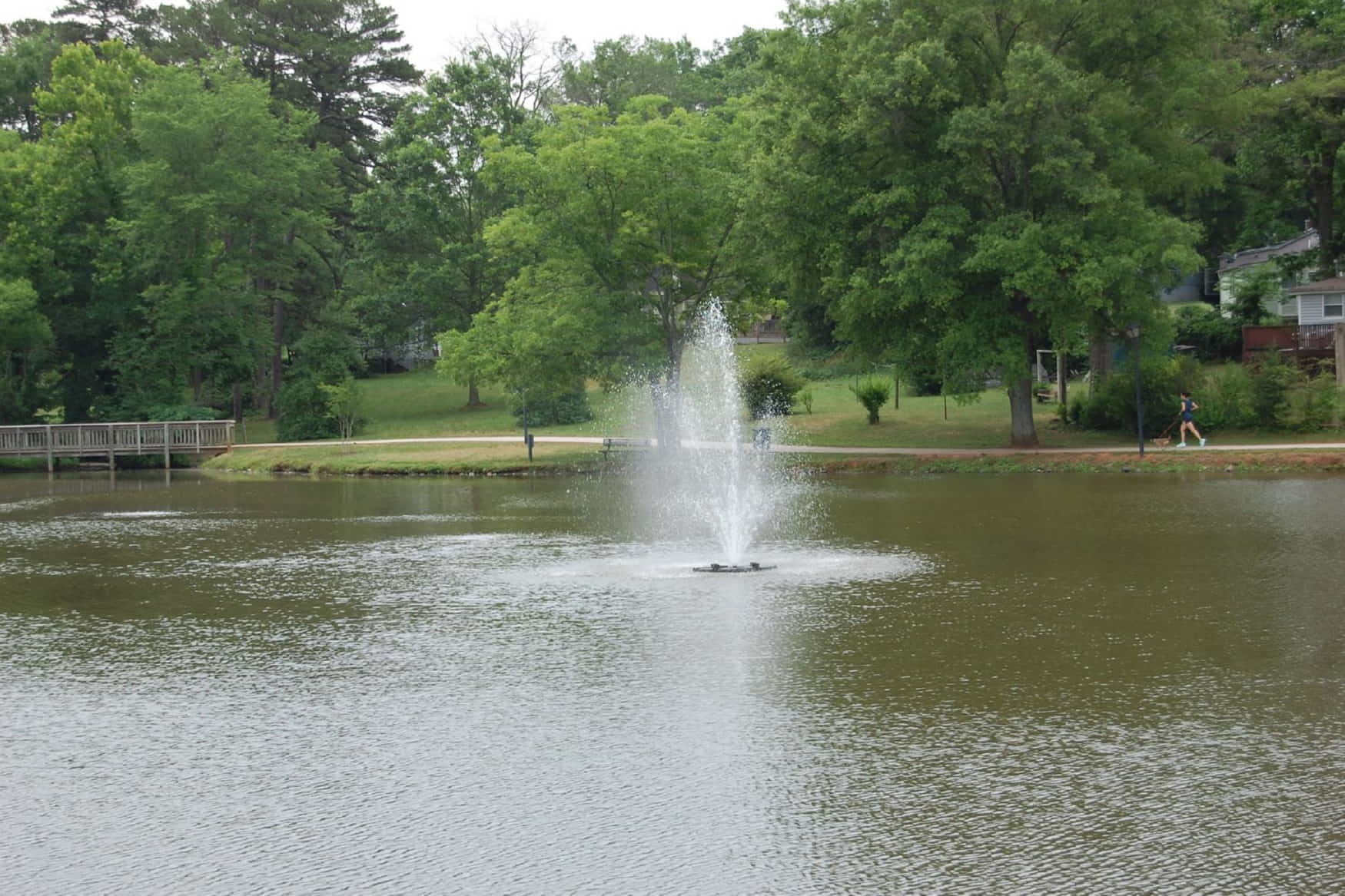 Roosevelt Wilson Park photo 1