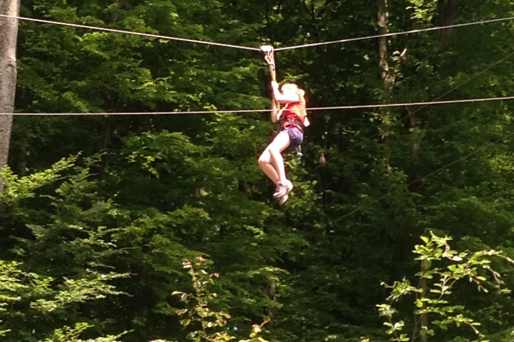 Rope Park Purkersdorf photo 1