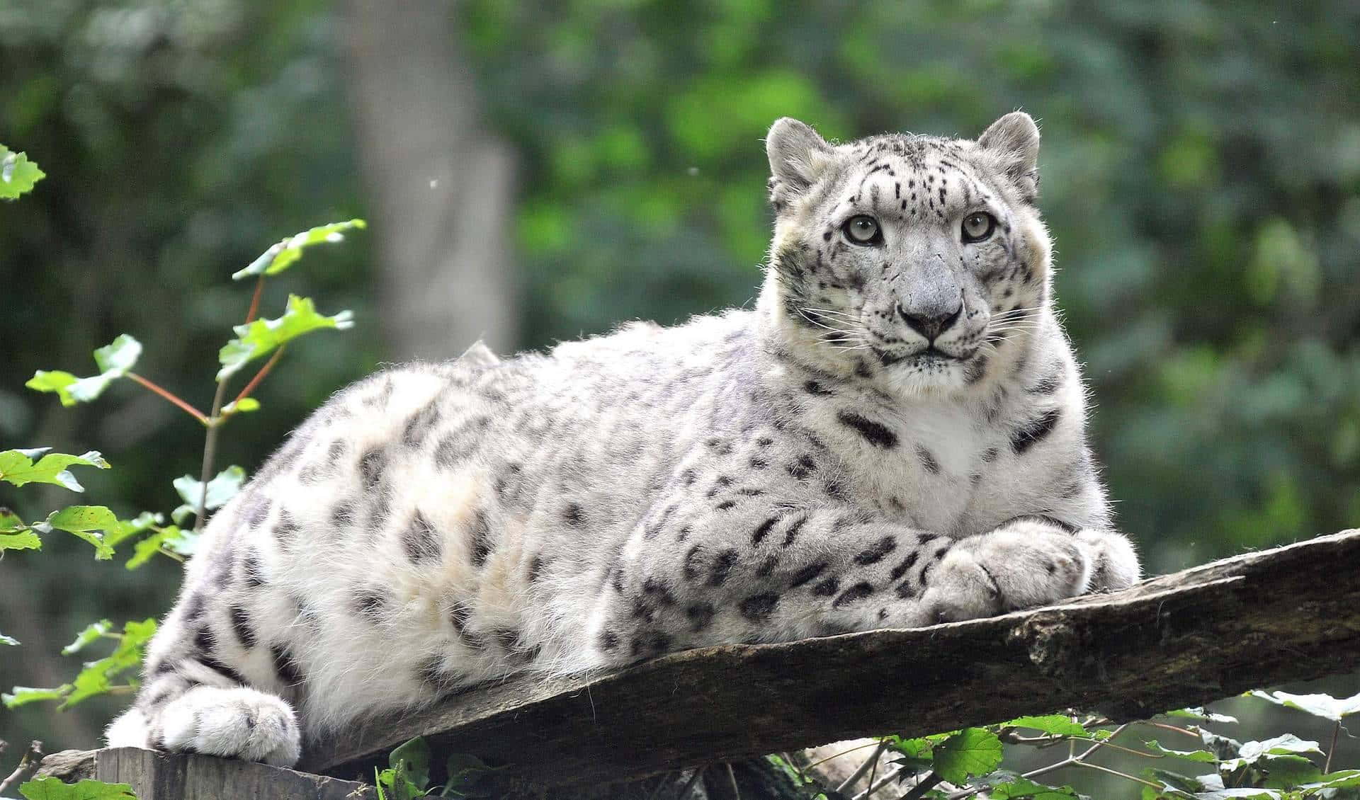 Rostock Zoo