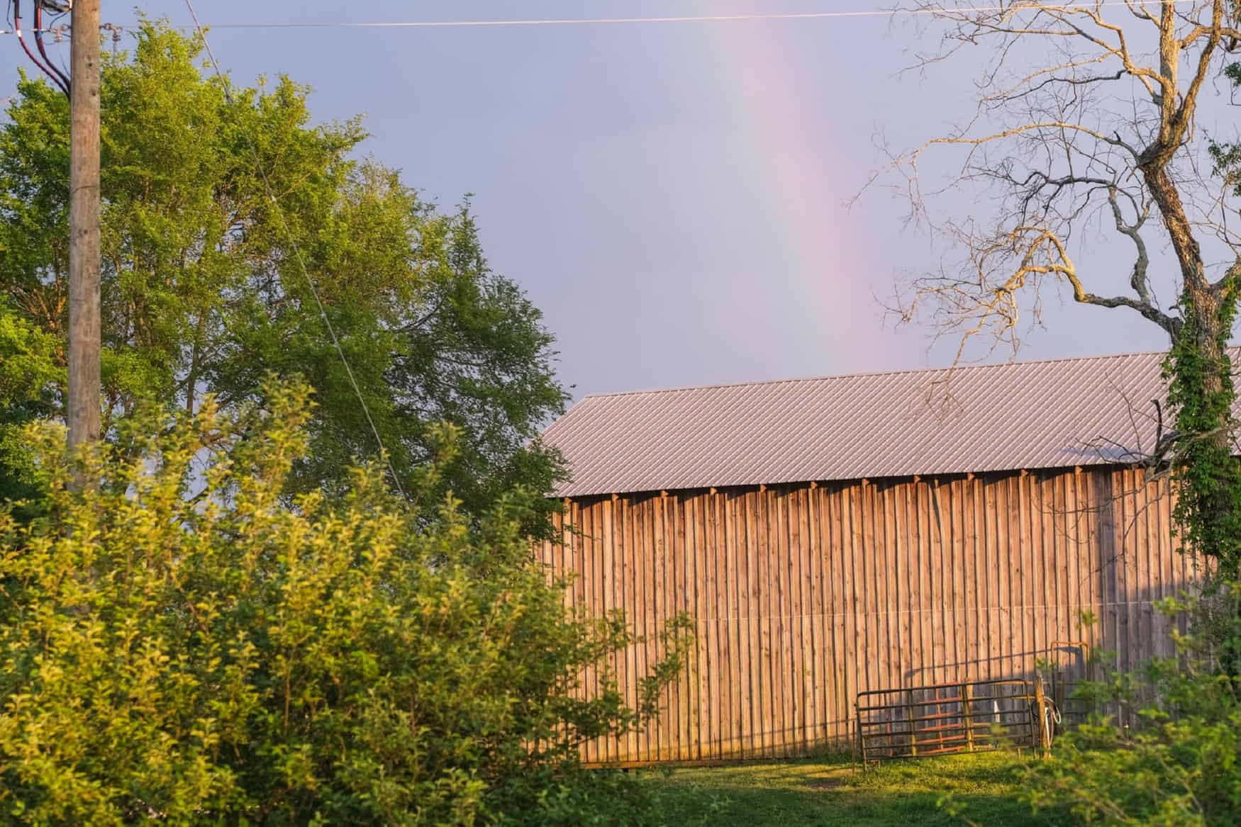Rural Hill Nature Preserve photo 1