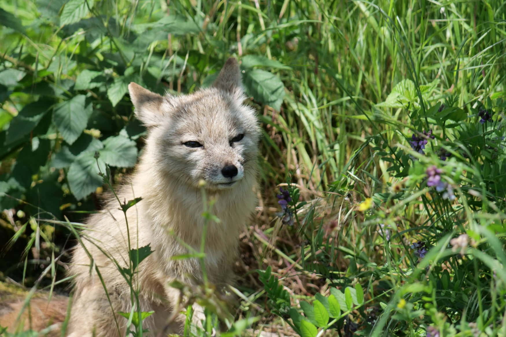 Saarbrücken Zoo photo 1