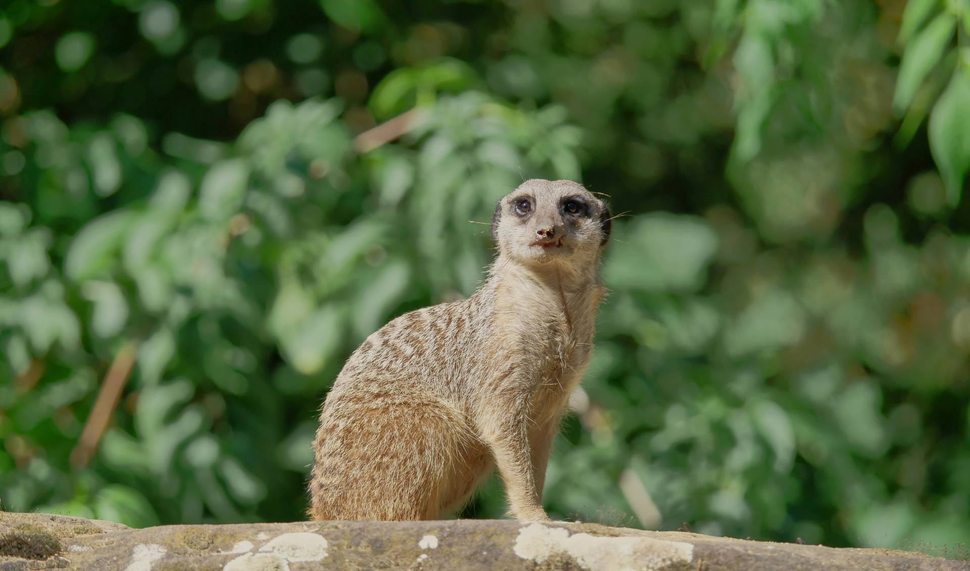 Saarbrücken Zoo