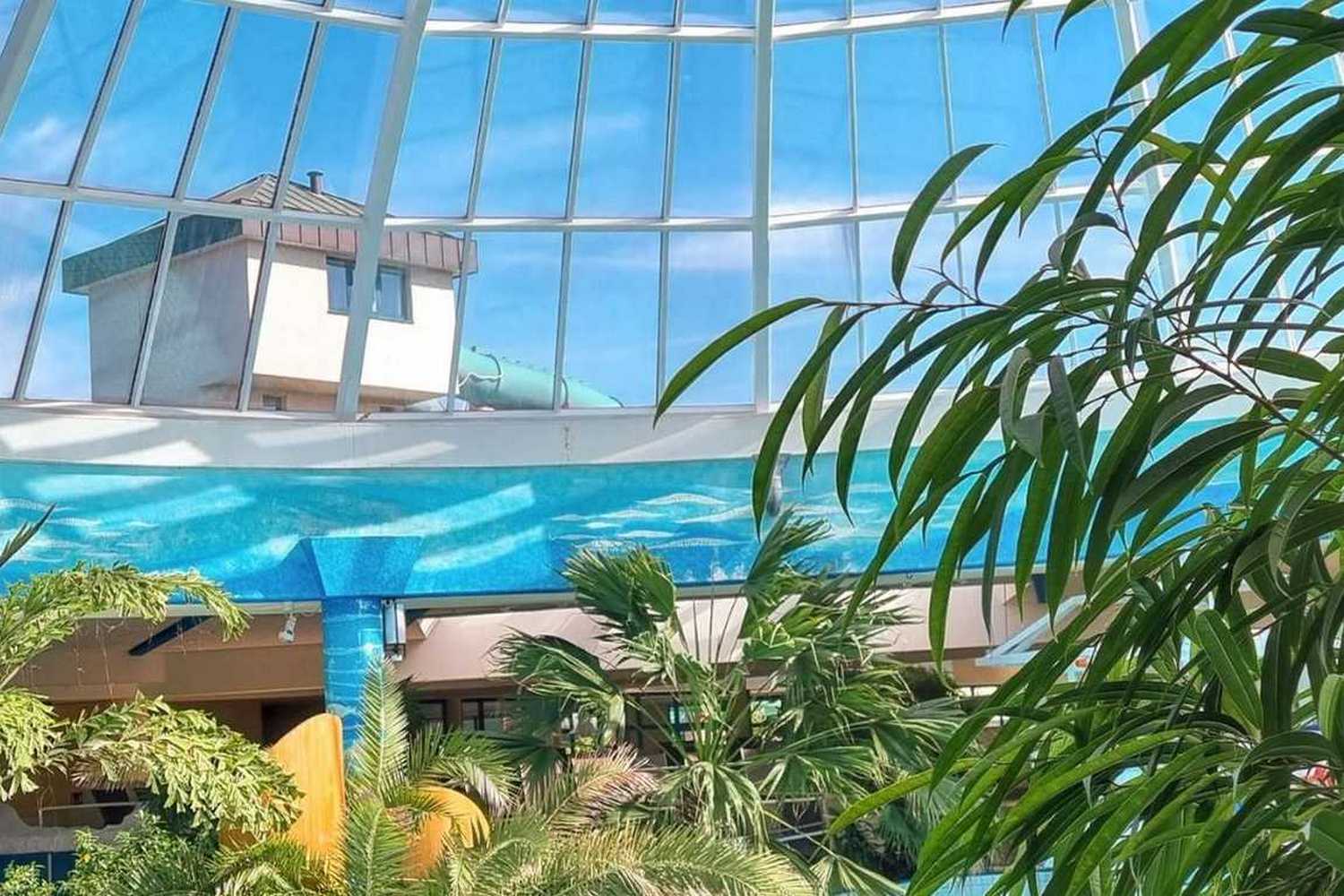 Sachsen-Therme photo 1