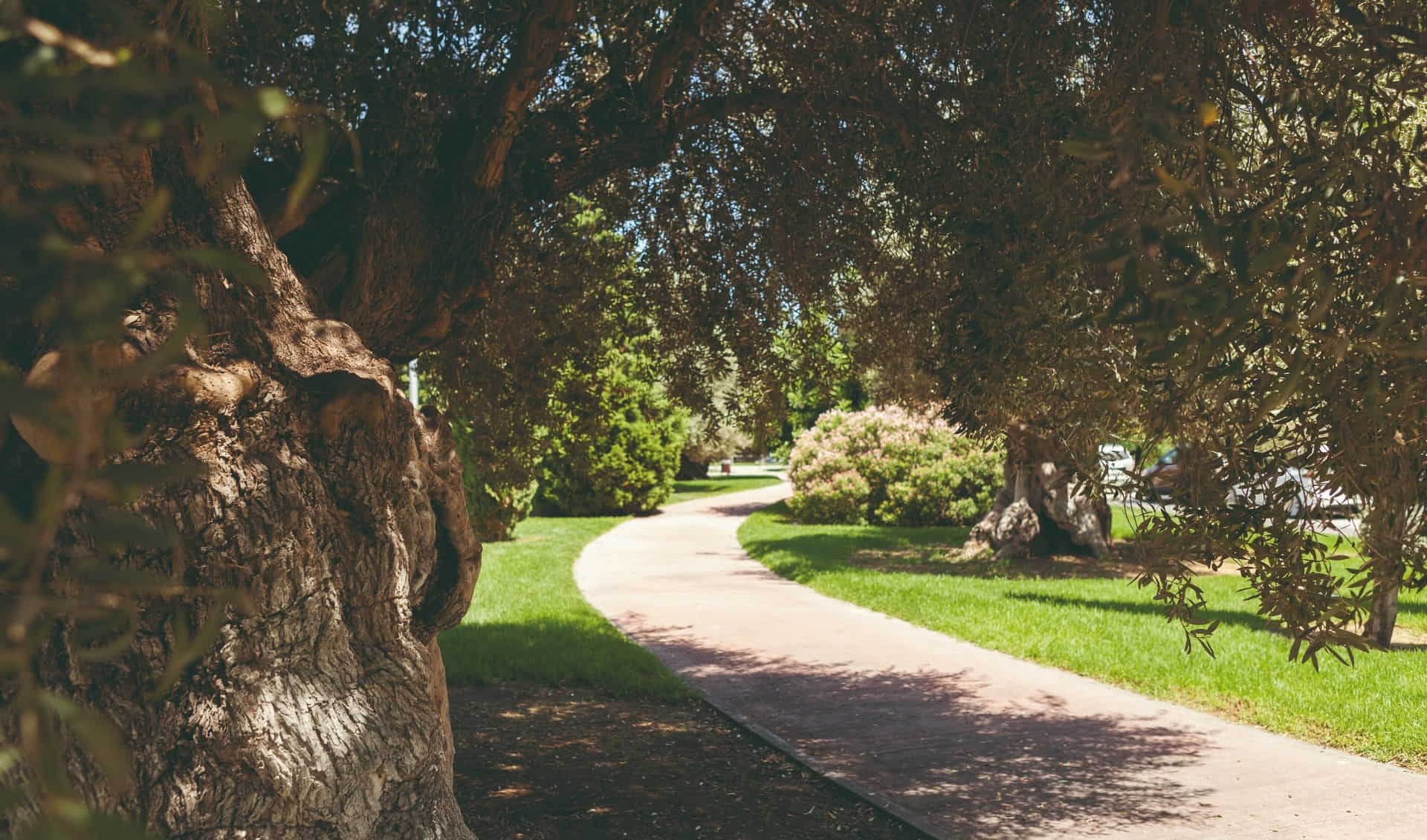 Salou Municipal Park