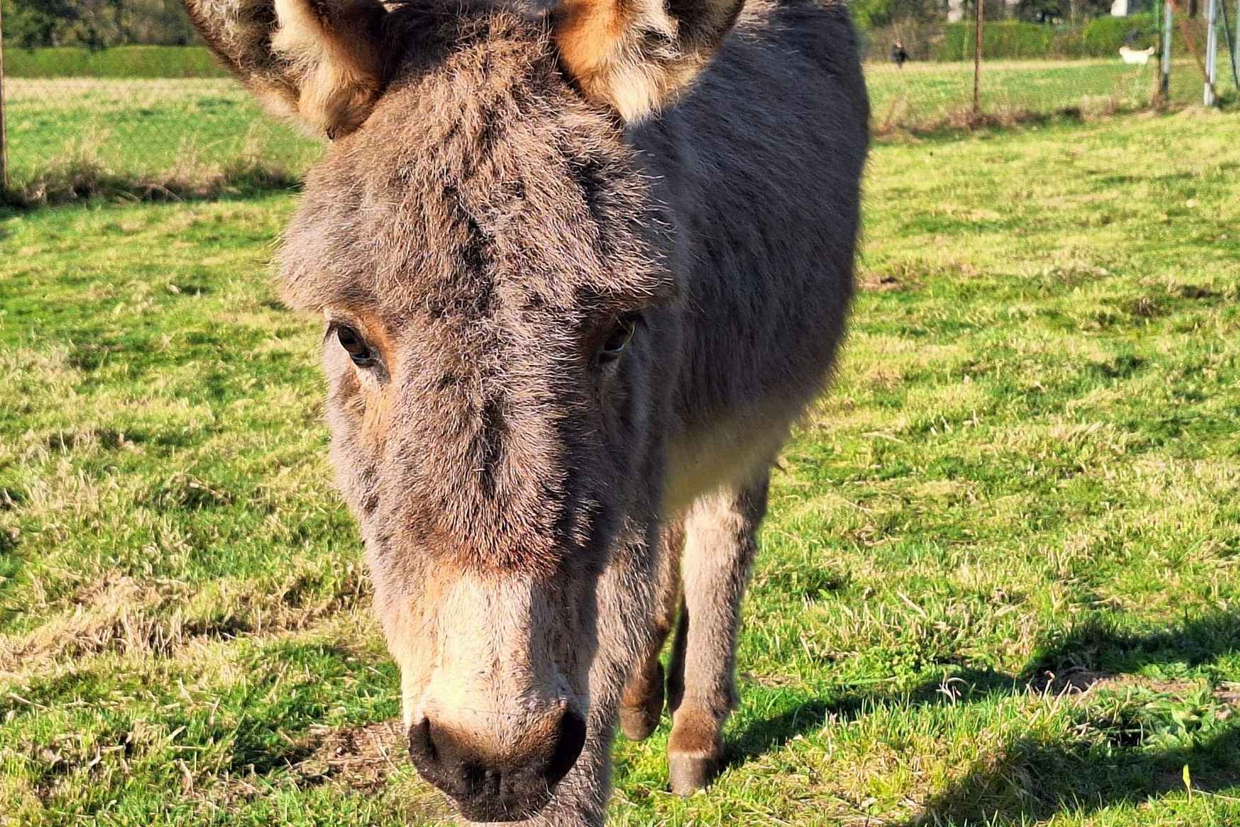 Scheibner Ranch photo 1