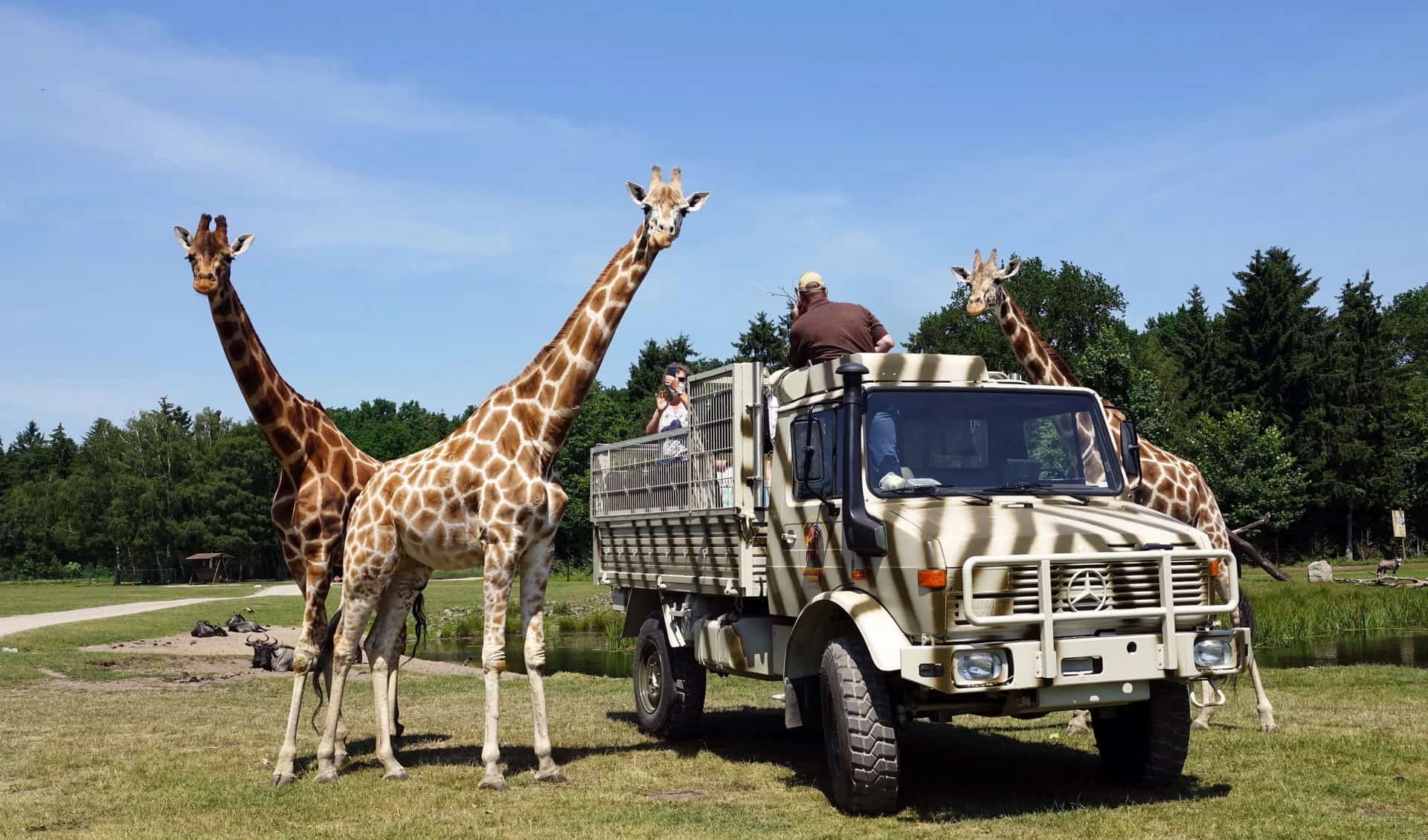 Serengeti Park Hodenhagen